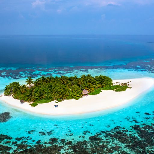 Make Your Summer Dreams Come True At W Maldives - Middle East Today Blog